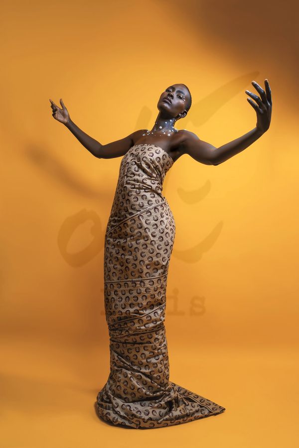 Portfolio Image